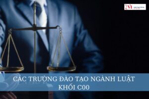 Danh sách các trường đào tạo ngành luật khối c00? Có nên học ngành luật khối C00?