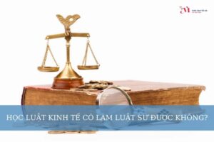 Học luật kinh tế có làm luật sư được không? Điều kiện để làm luật sư