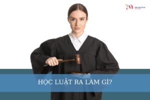 Học luật ra làm gì? Có dễ xin việc không?