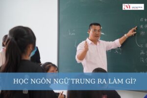 Học ngôn ngữ trung ra làm gì? Cơ hội việc làm của ngành ngôn ngữ Trung