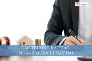 Các trường đào tạo ngành Quản lý đất đai