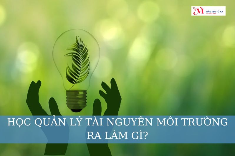 Học Quản lý tài nguyên môi trường ra làm gì