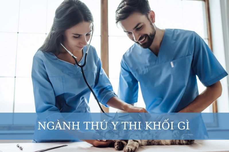 ngành Thú Y thi khối gì